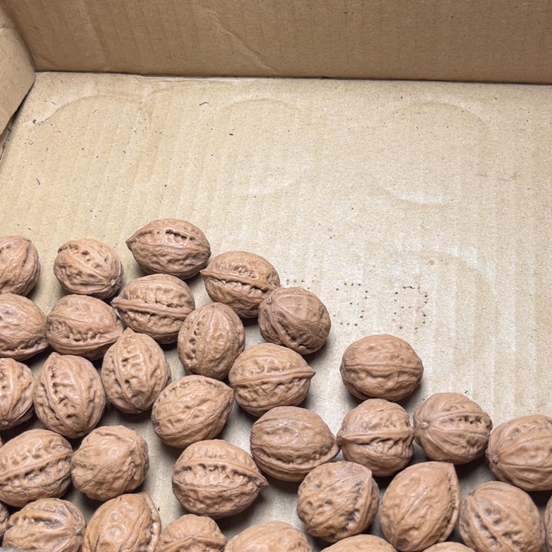 手串文玩核桃核桃43