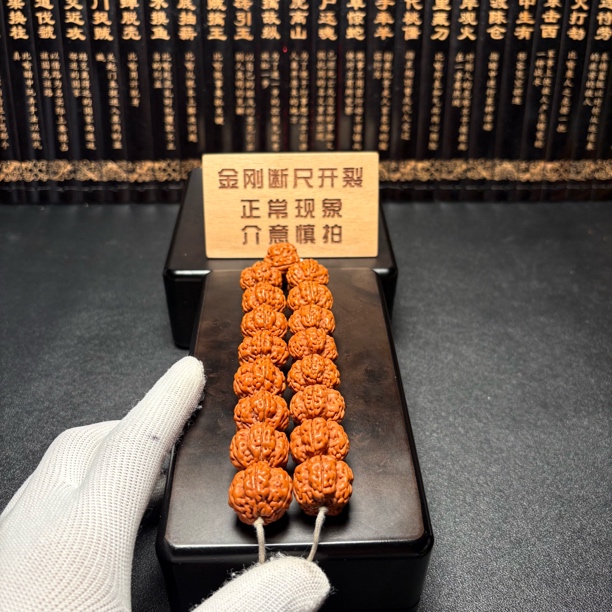 私人订制:小金刚绝情帝王花手持(88号)