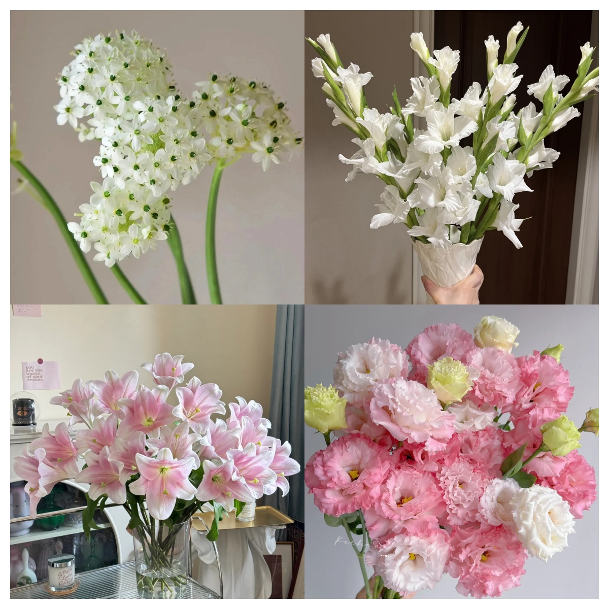 【原创花束 鲜花组合套餐 一单顺丰包邮】