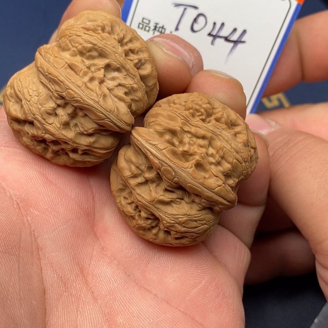 文玩核桃把件元宝044