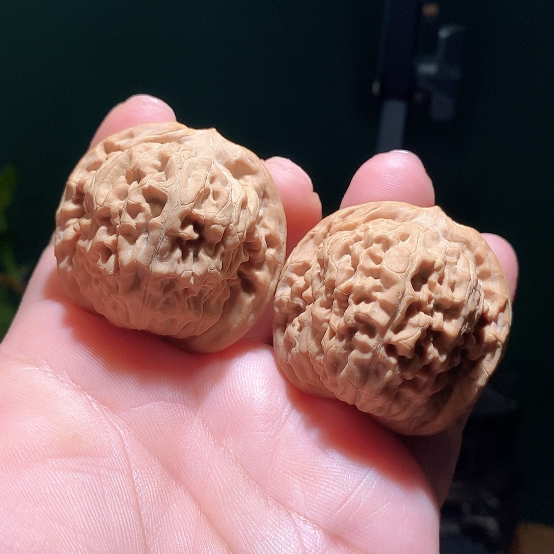 把件文玩核桃43莲花全品