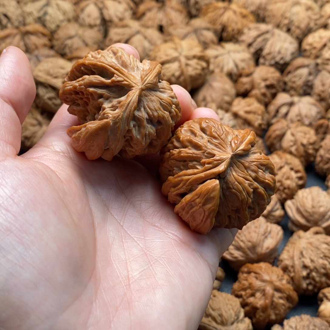 把件文玩核桃44白狮子角