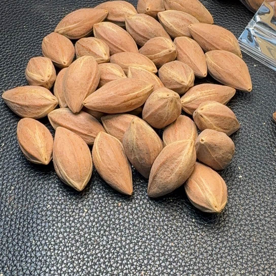 心***疾手串/手链橄榄核1