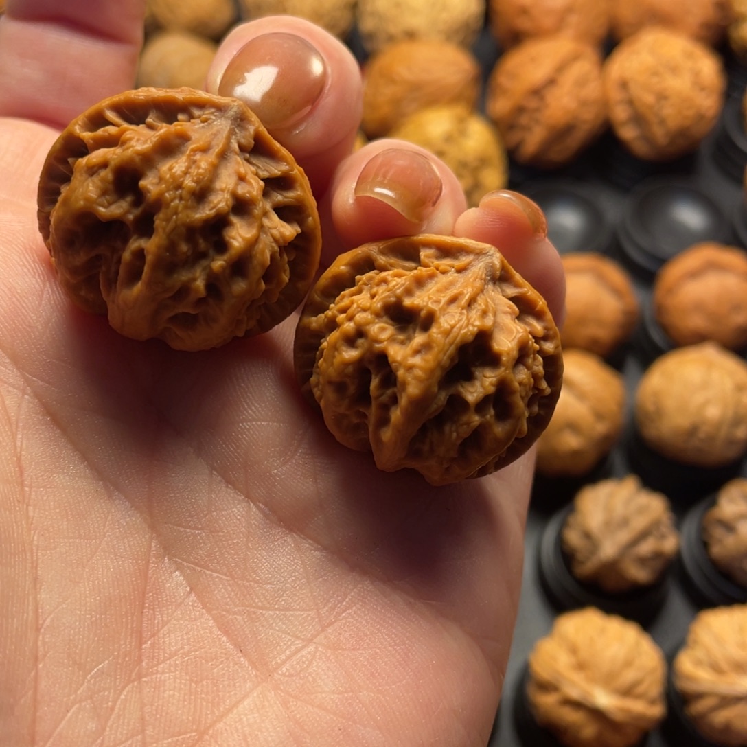 甄****文玩核桃把件核桃