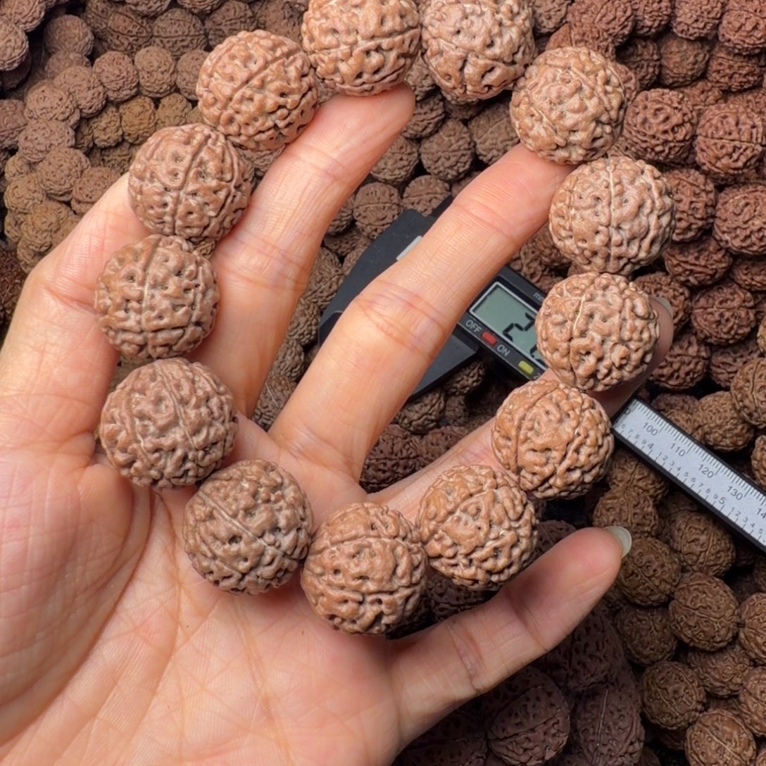 金刚菩提手串8瓣卡20尺，12号