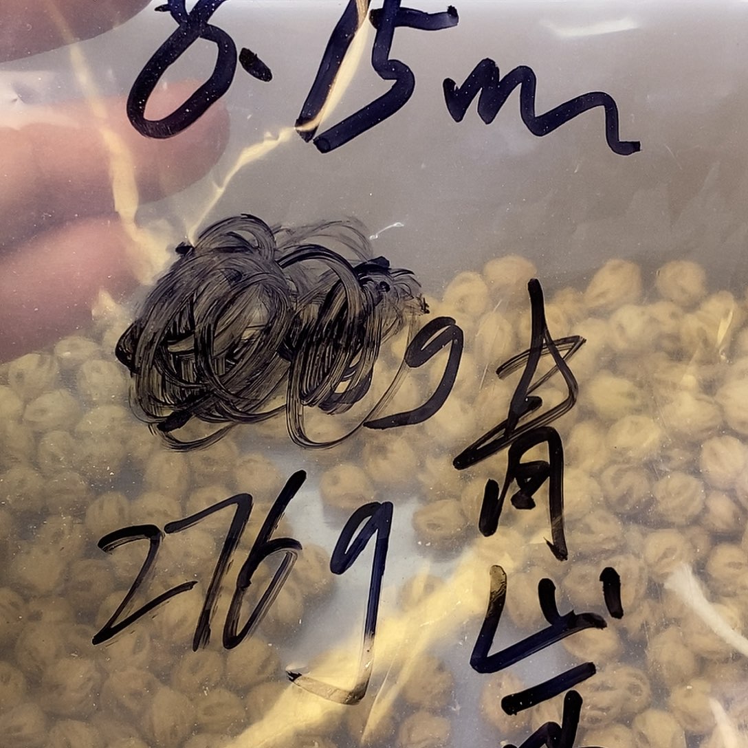 i***我吊坠柏香籽/百香籽