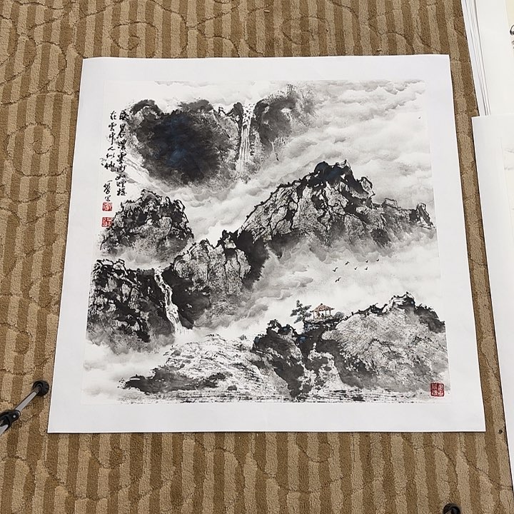 国画生花鸟的翅膀和翅膀都很漂亮的