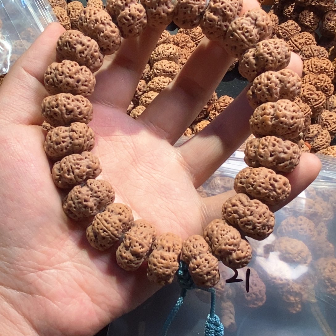 ^***生金刚菩提手串毕业夹板