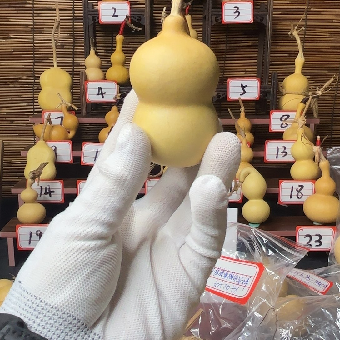 看好下单不退不换