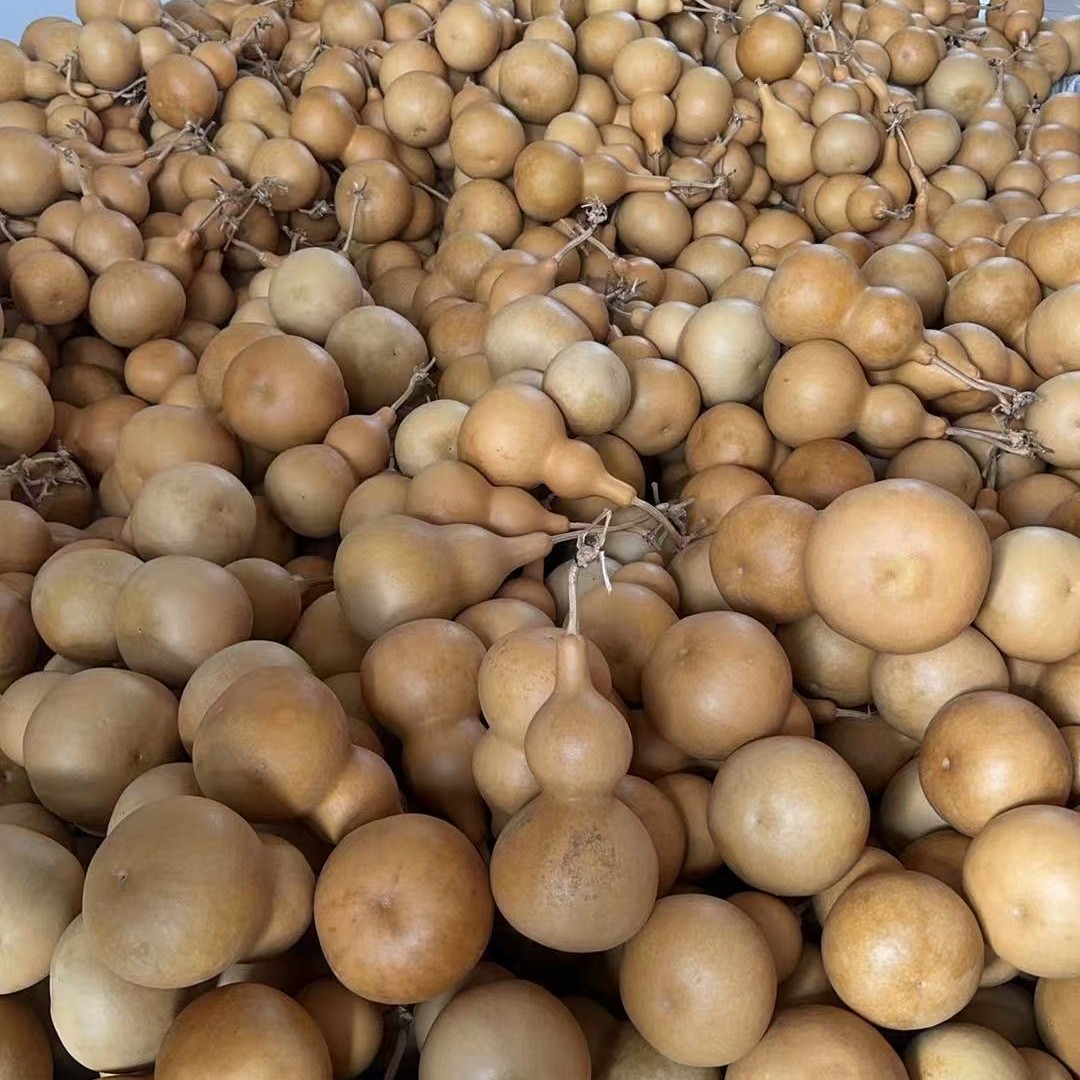 天然带龙头小葫芦手把件可盘玩的文玩葫芦