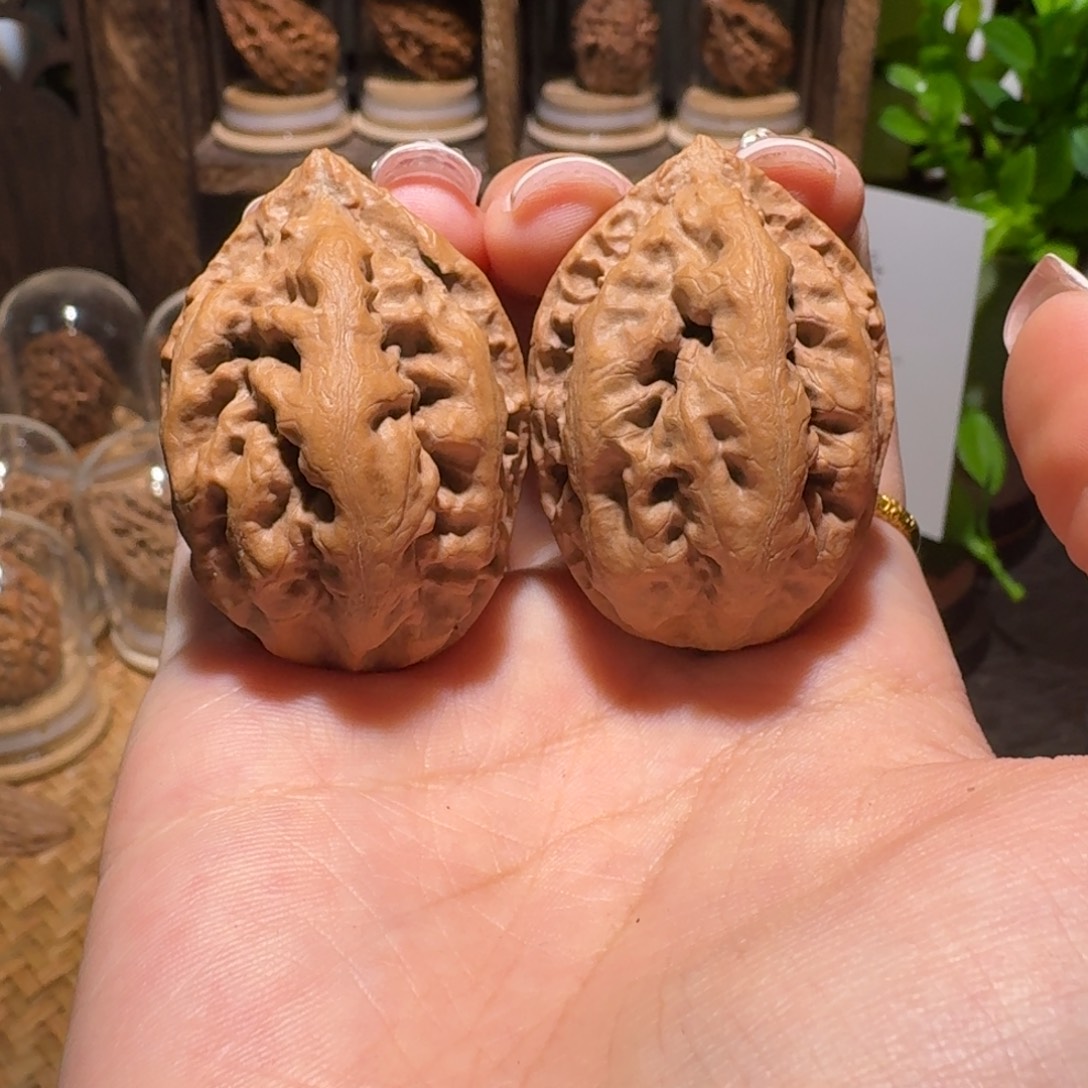 文玩核桃把件霸王筋