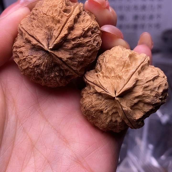 核桃云南野生铁核桃42号37mm