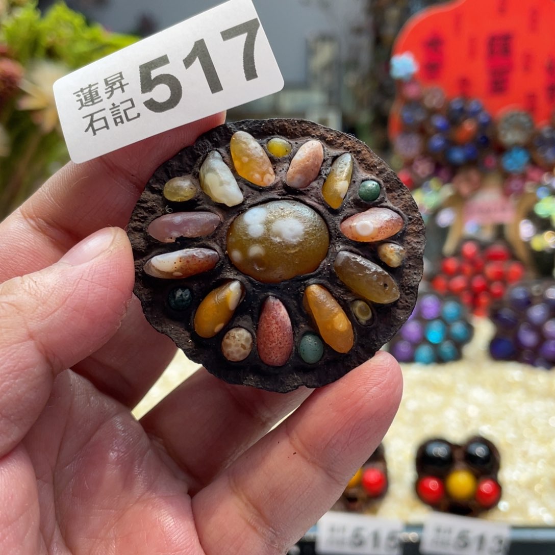 核桃木/黑胡桃（胡桃木）517