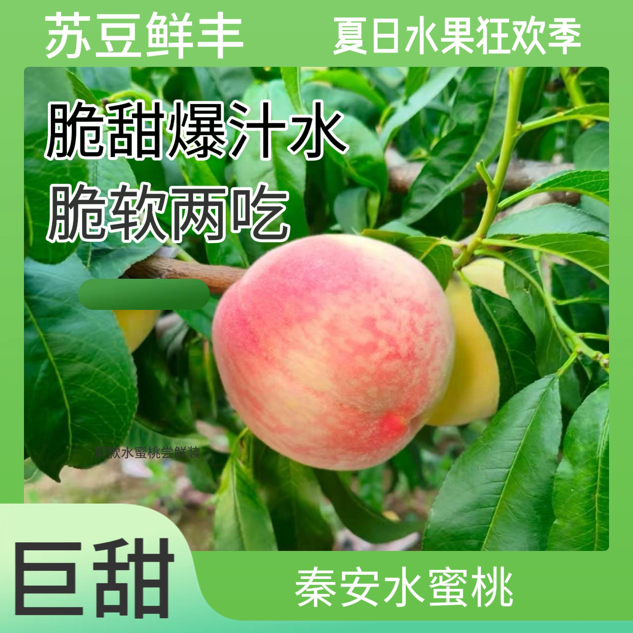 【北京九号超大果】甘肃天水秦安县蜜桃品种脆甜多汁产地直发