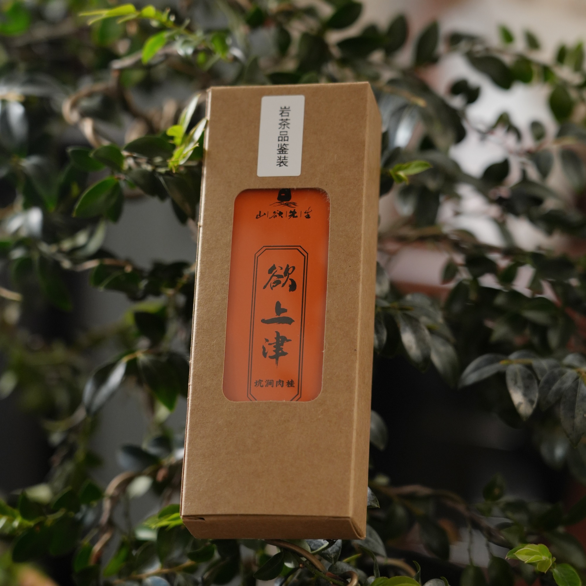 山欲先生【岩茶品鉴装】武夷岩茶｜坑涧肉桂｜欲上津2泡