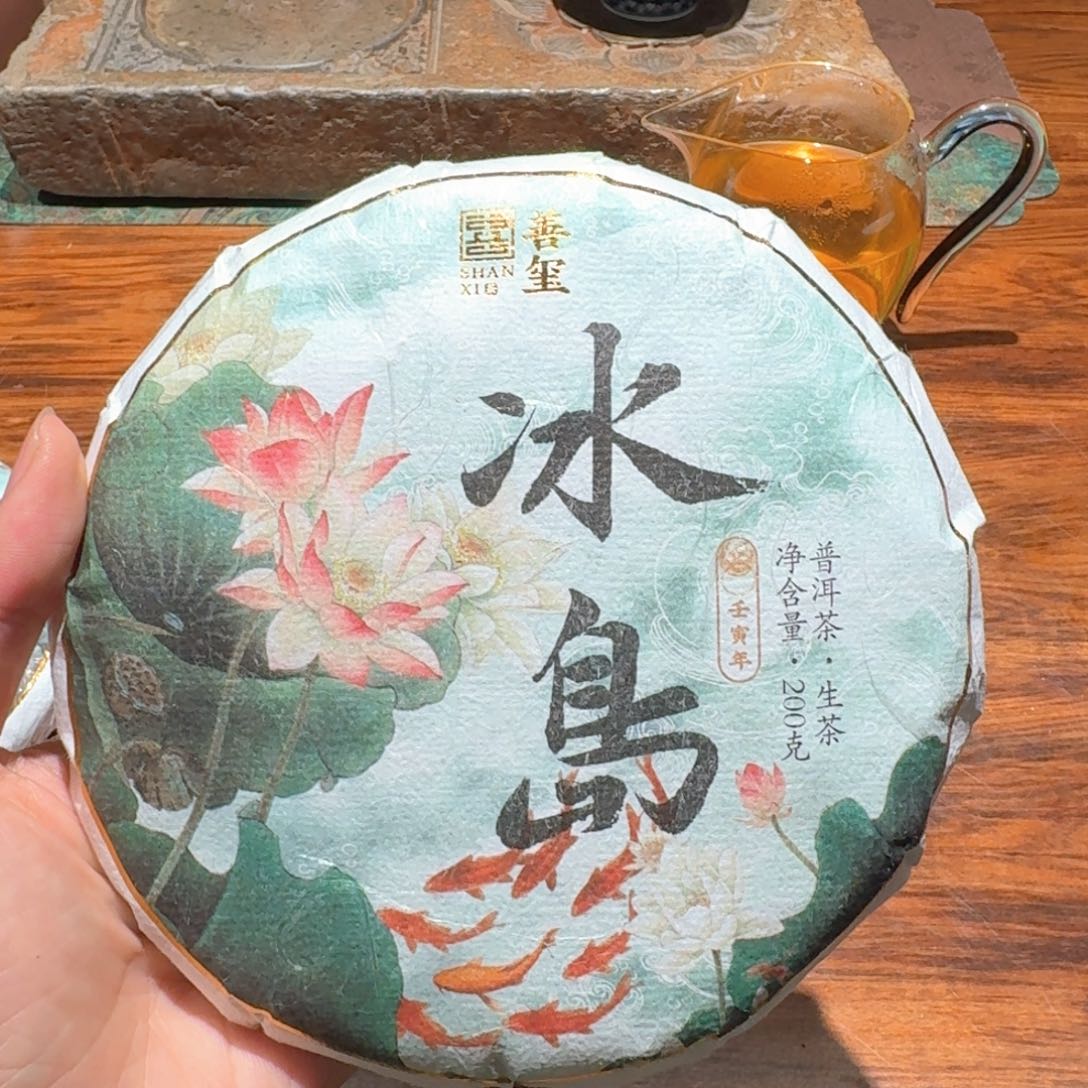 冰岛老寨大树2023年200克头春