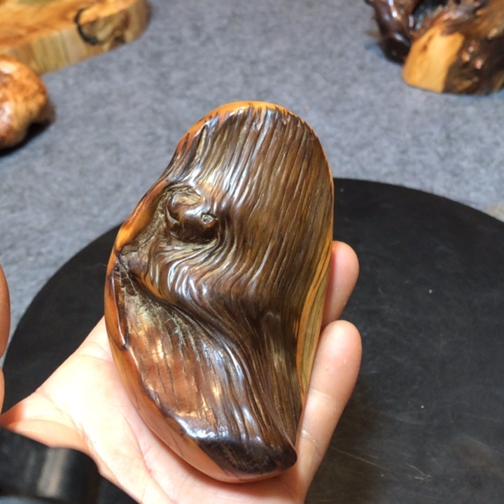 柏木（崖柏）山**岁崖柏27