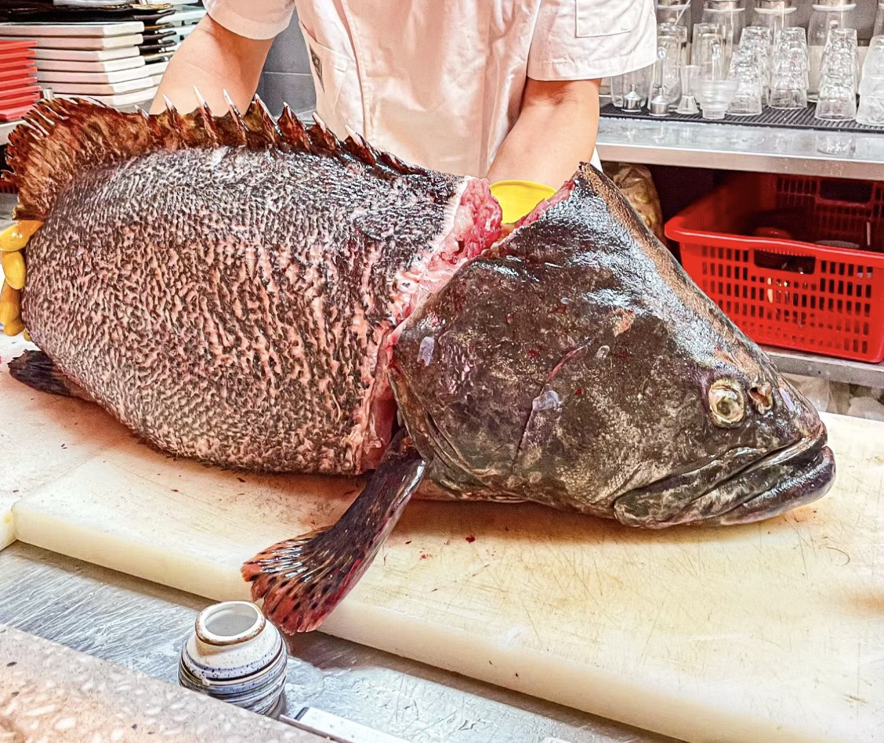 广西北海（80斤～120斤）百斤大龙趸石斑鱼现杀现称