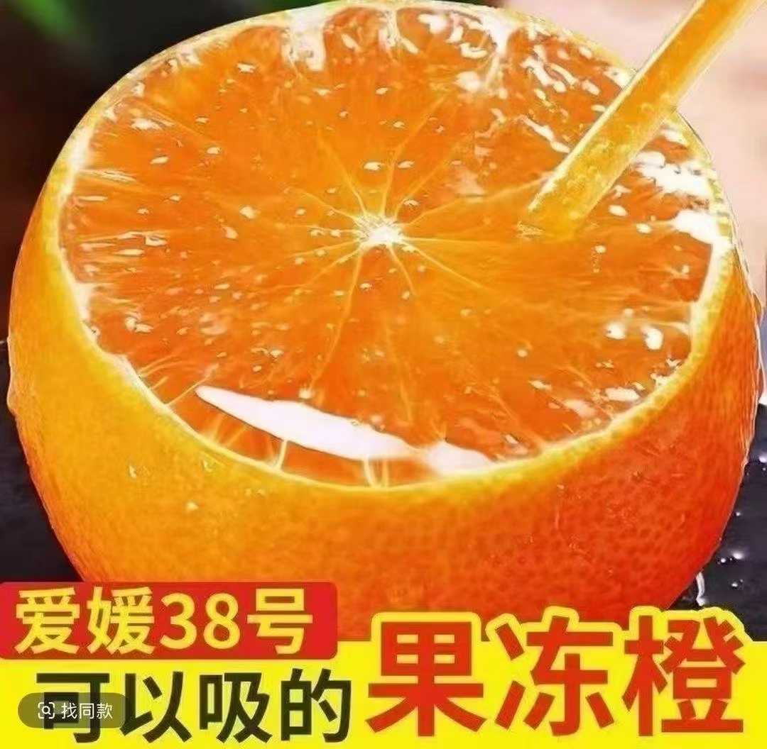 Lxx果冻橙爱媛38号新鲜多汁当季水果现采现发
