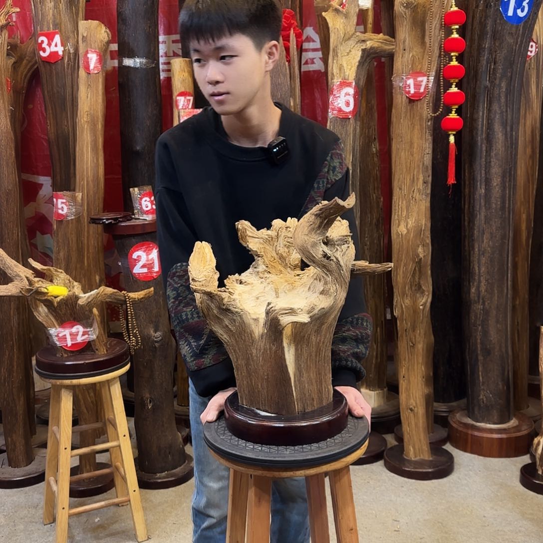 沉香摆件奋****》海南沉香