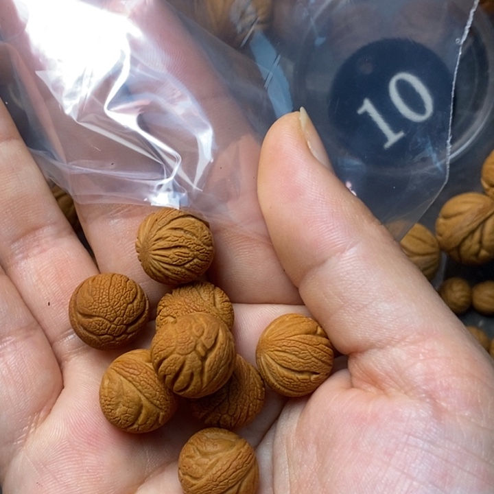 木质类秦岭山野生桃核