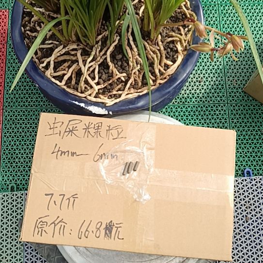 X***u兰菌黑山土虫屎颗粒7.7斤