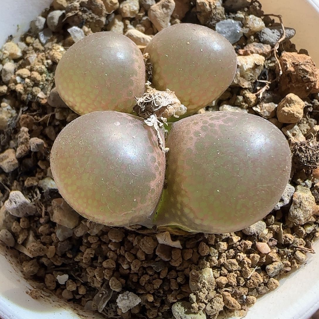 哈哈哈哈哈哈哈51377