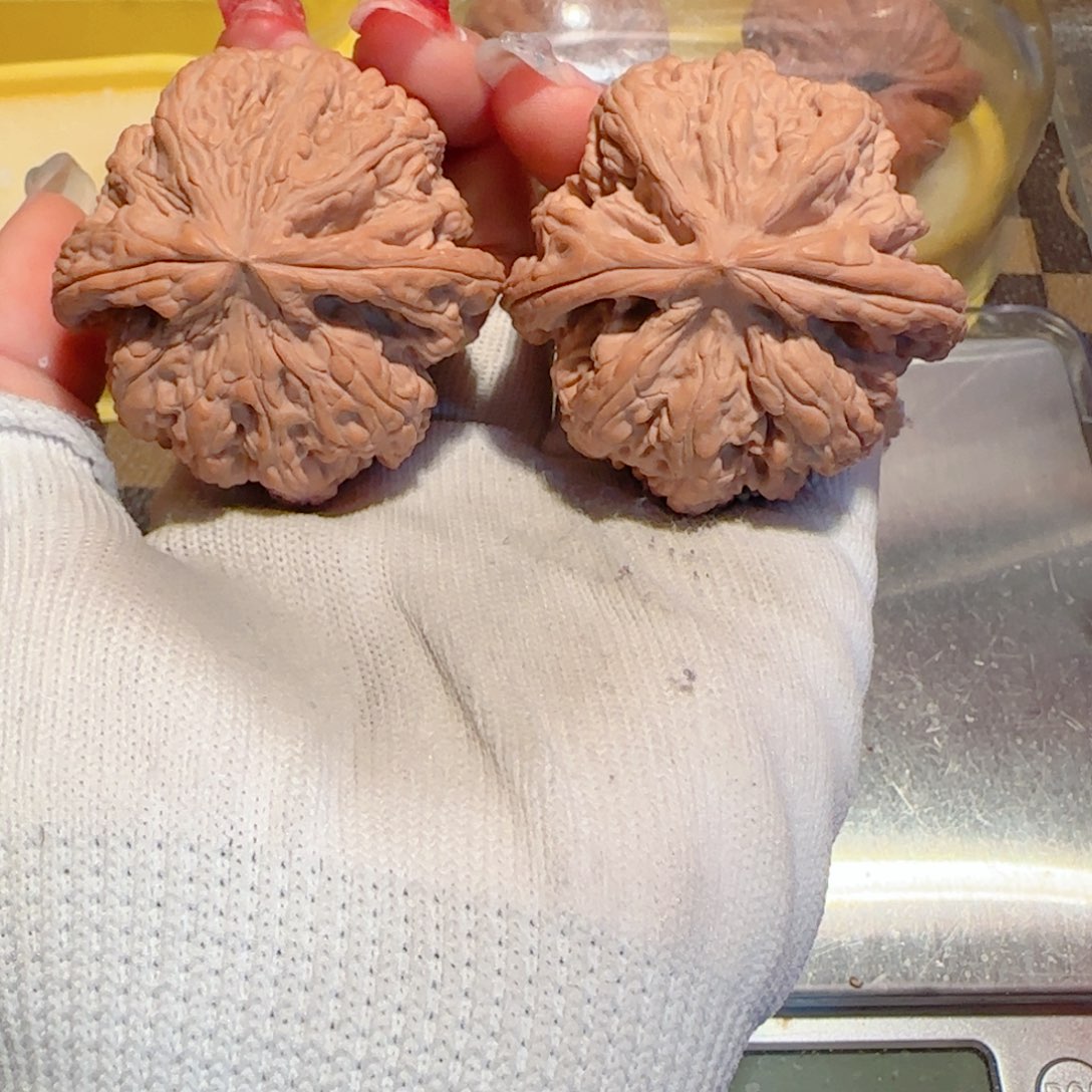 桃核吊坠48全品大粗筋对龟