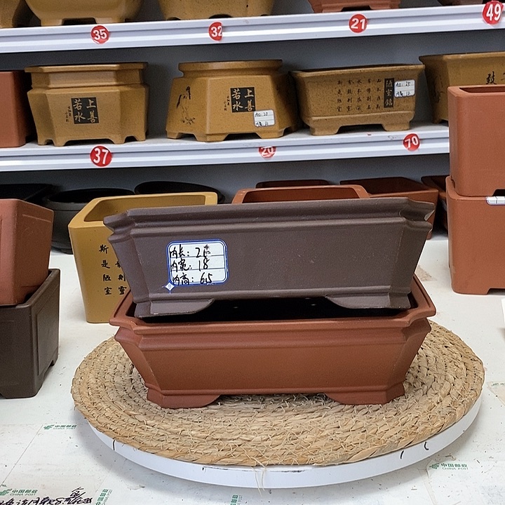 紫砂花盆今天下午