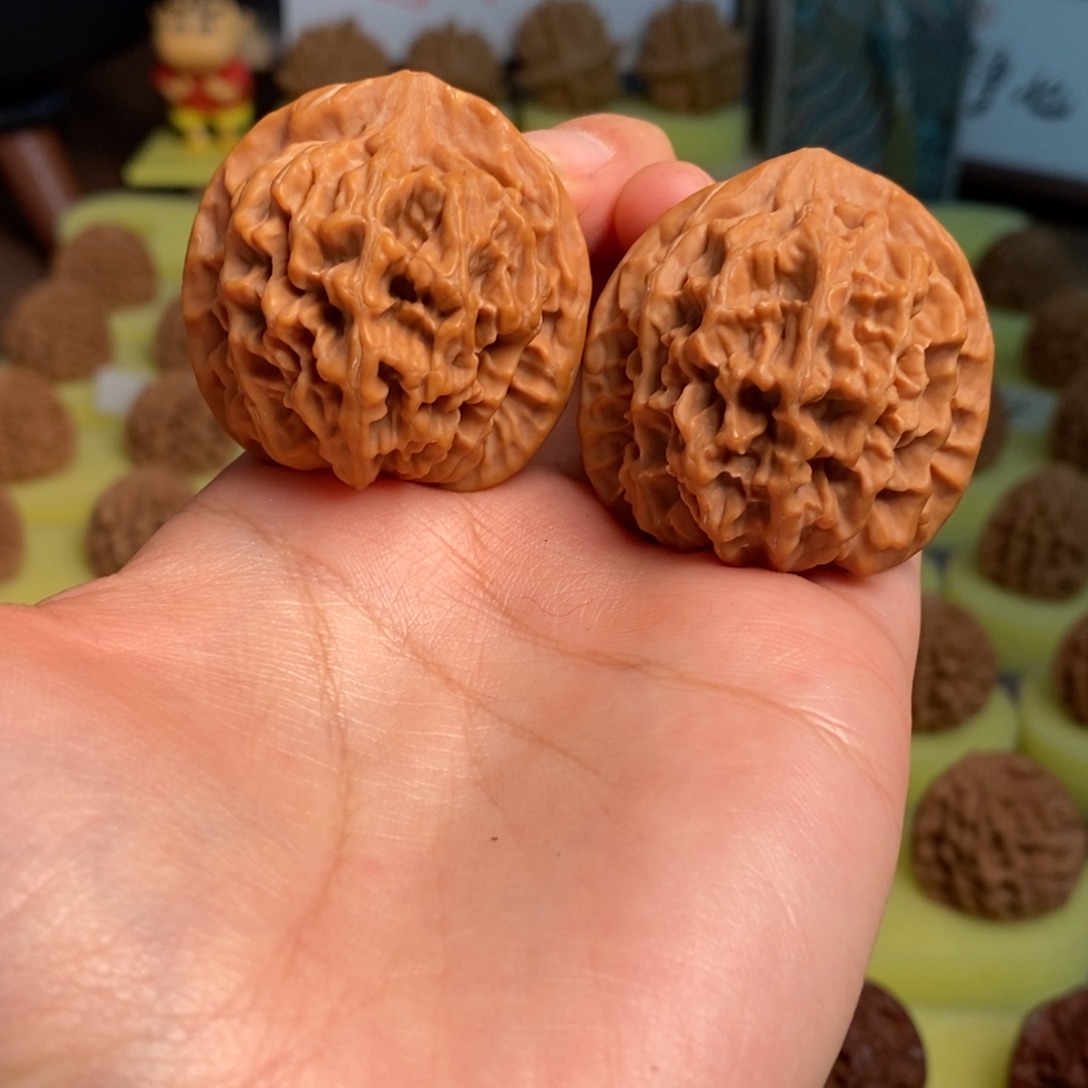 核桃秦岭大花39尺寸