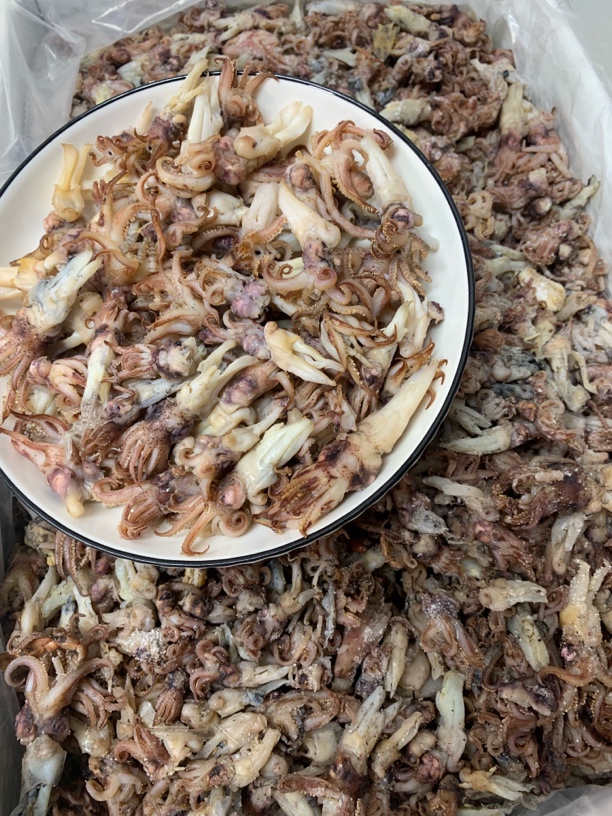 【蚝西施海味】本港大鱿鱼头海兔头海鲜干货包邮