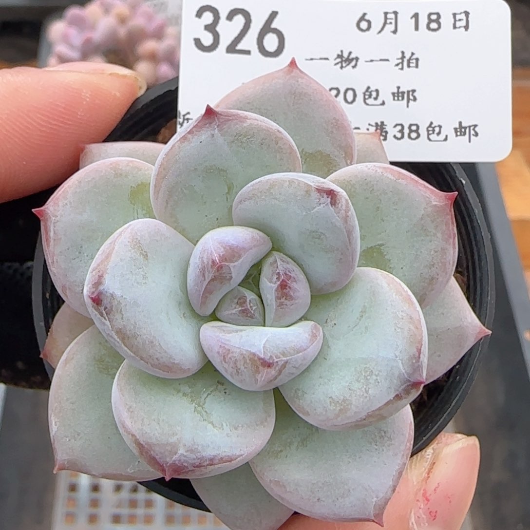 0618-326福利福利