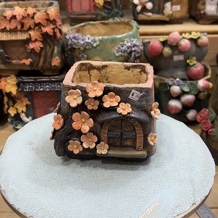 陶然多肉花盆百搭