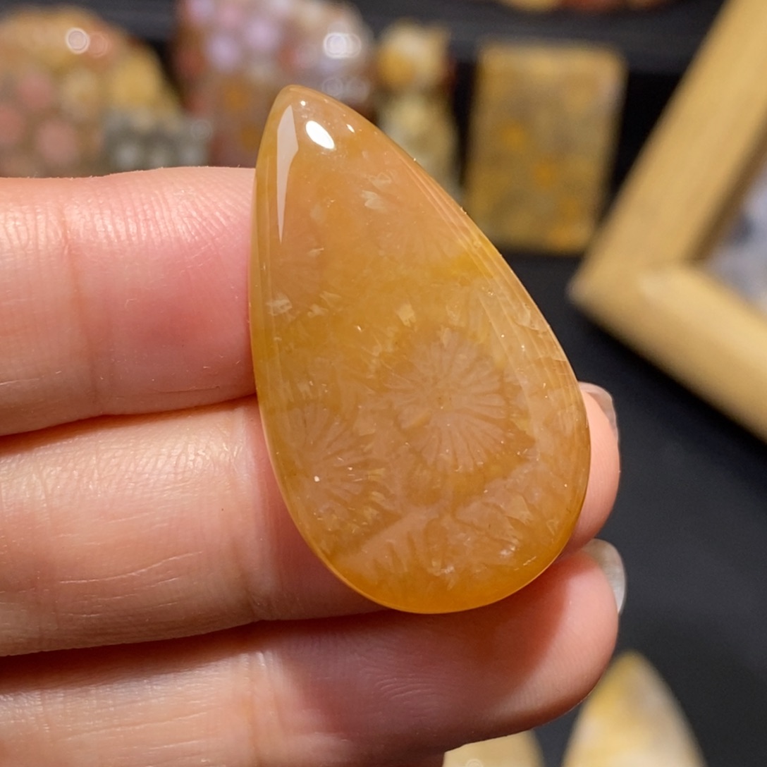 【闪购商品】硅化玉颈饰未镶嵌