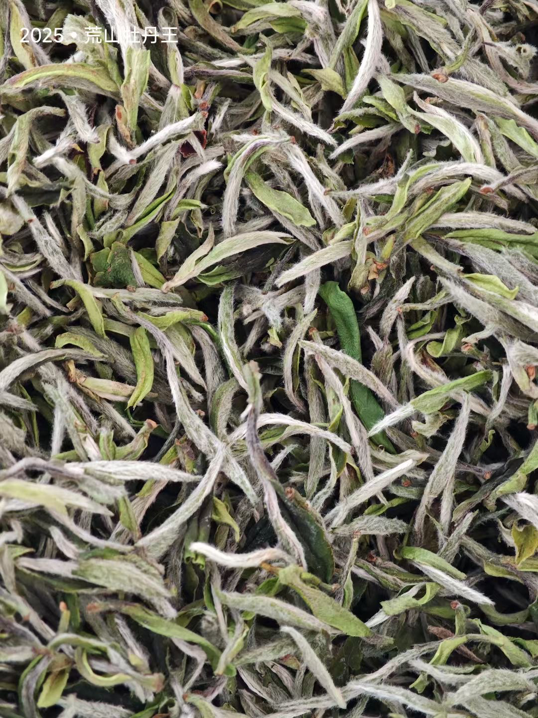 福春莱 2025牡丹王 500克1盒