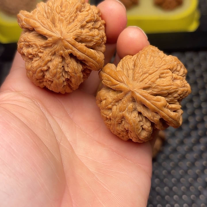 文玩核桃把件42大粗筋狮子头