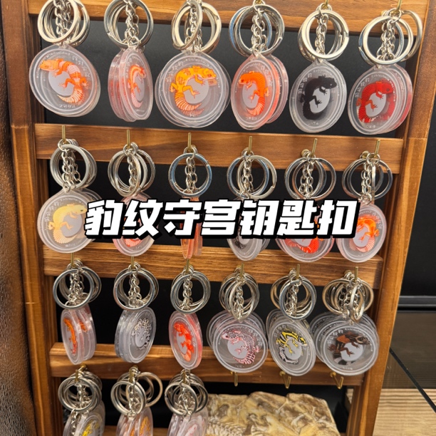 豹纹守宫基因钥匙扣