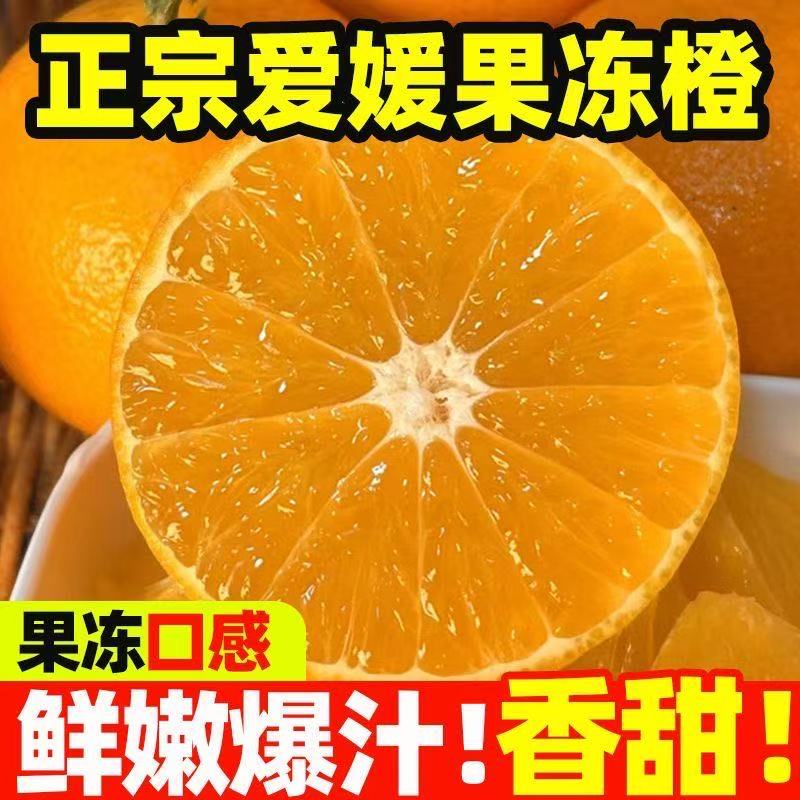 晋公子甄选爱媛果冻橙38号四川省