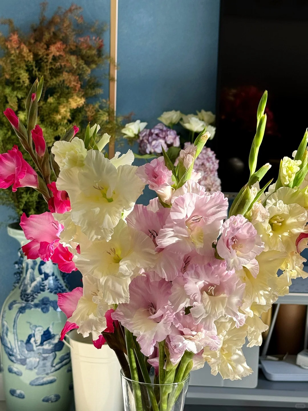 【花满堂】鲜花 剑兰 任意两单包邮 发货后不支持退款