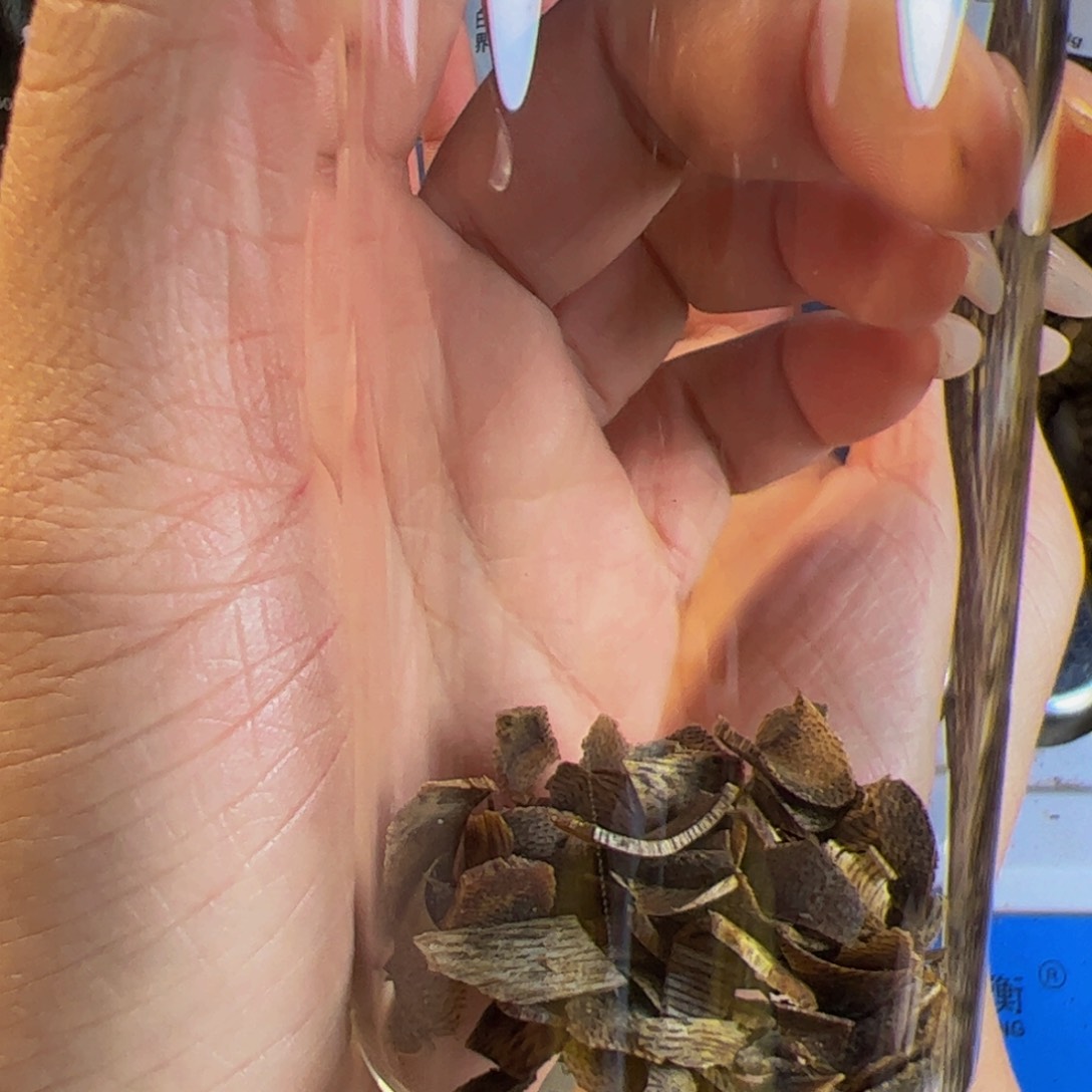 沉香沉香碎屑用**哥白棋楠乌身桶珠