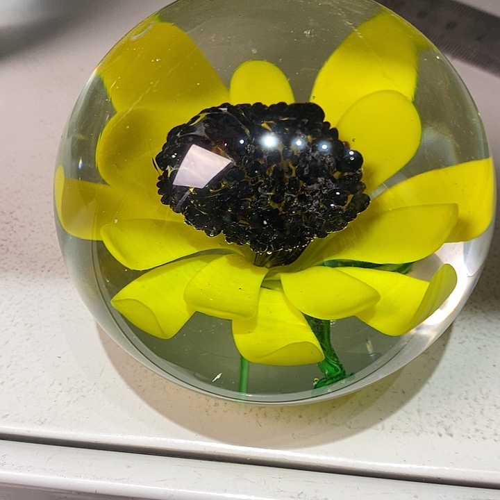 微瑕1225535555555285588