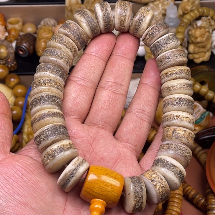 驼骨摆件人工养殖