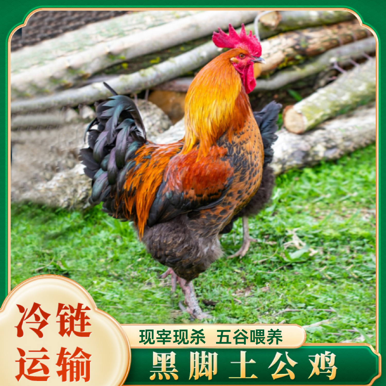  【大妹土鸡】放养黑脚土公鸡 肉质鲜嫩 2只净重6斤