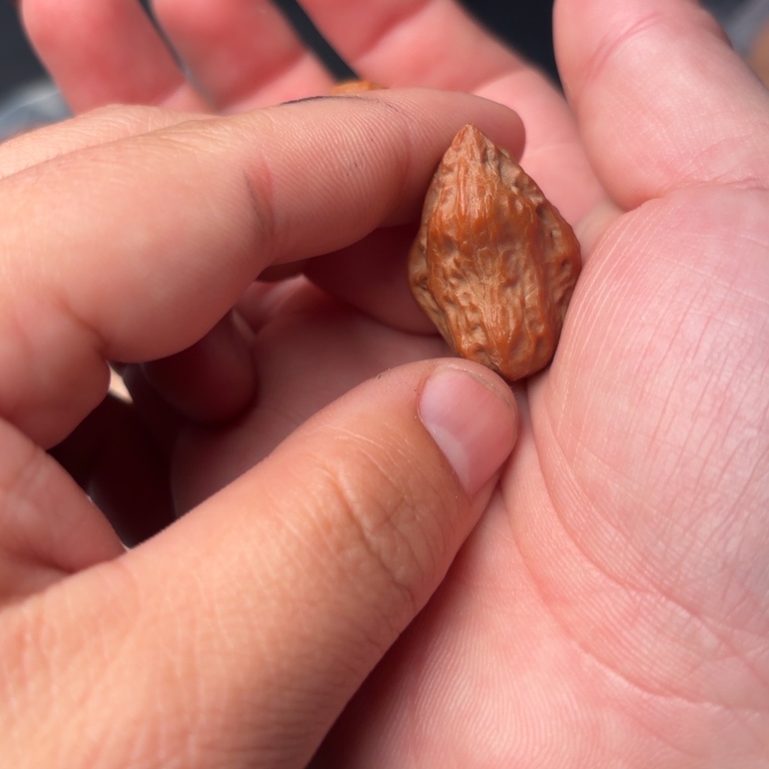 把件文玩核桃7100000