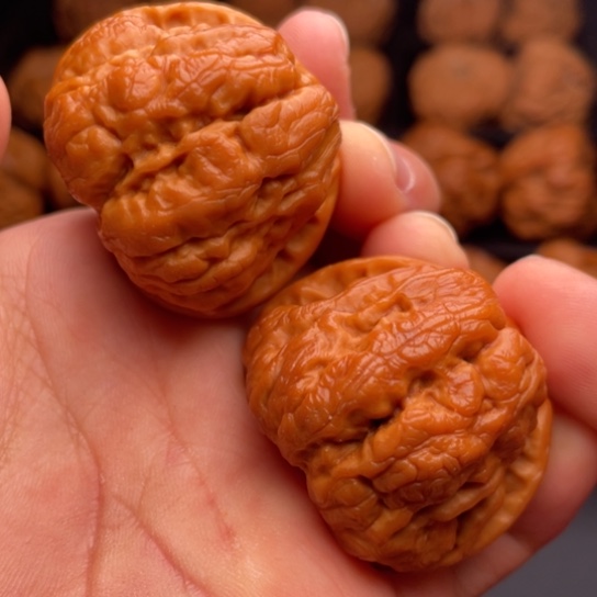 文玩核桃把件秦岭山脉核桃