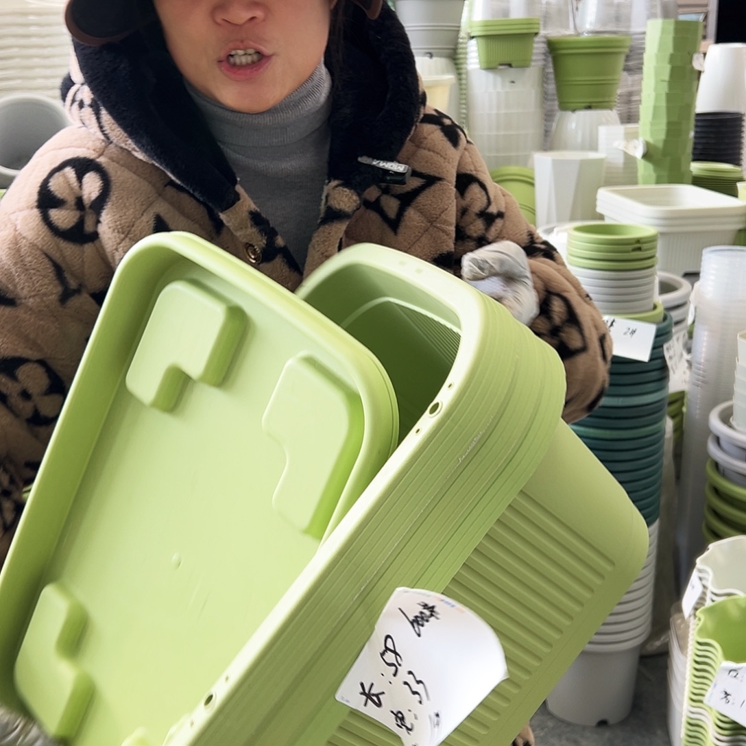 菜盆600#果绿色3个（含托盘）