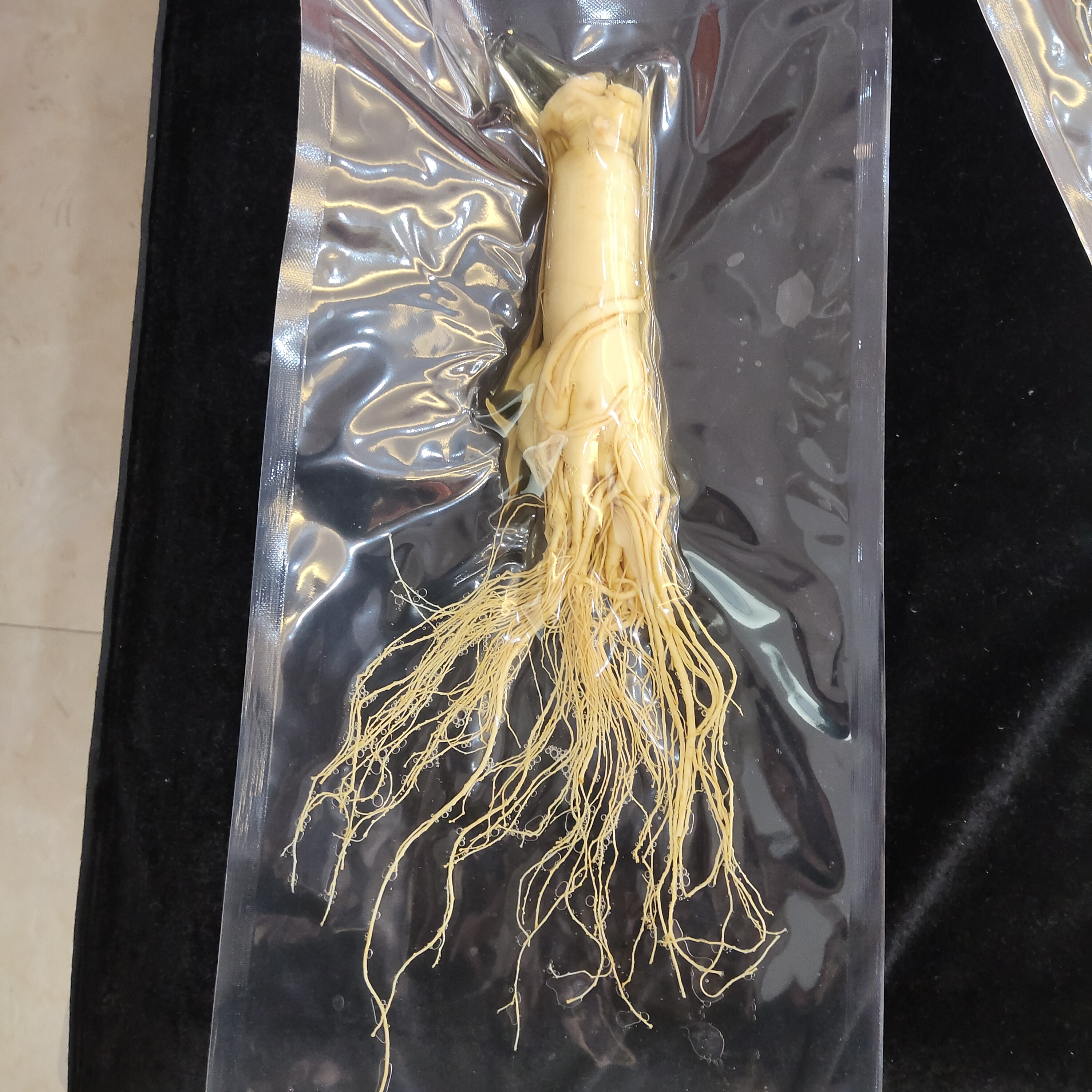 长白山保鲜参可泡酒煲汤独立真空包装