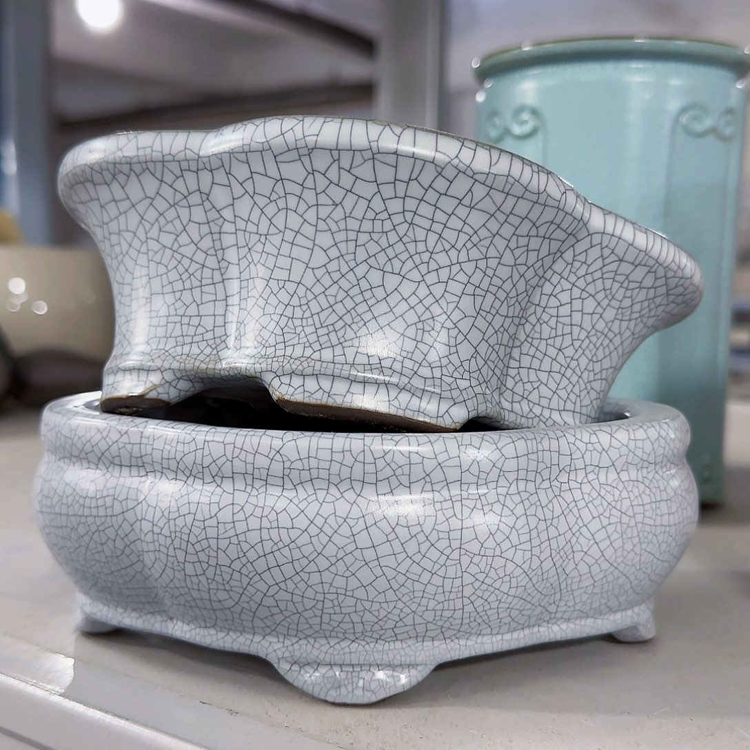 陶瓷花盆特价上新