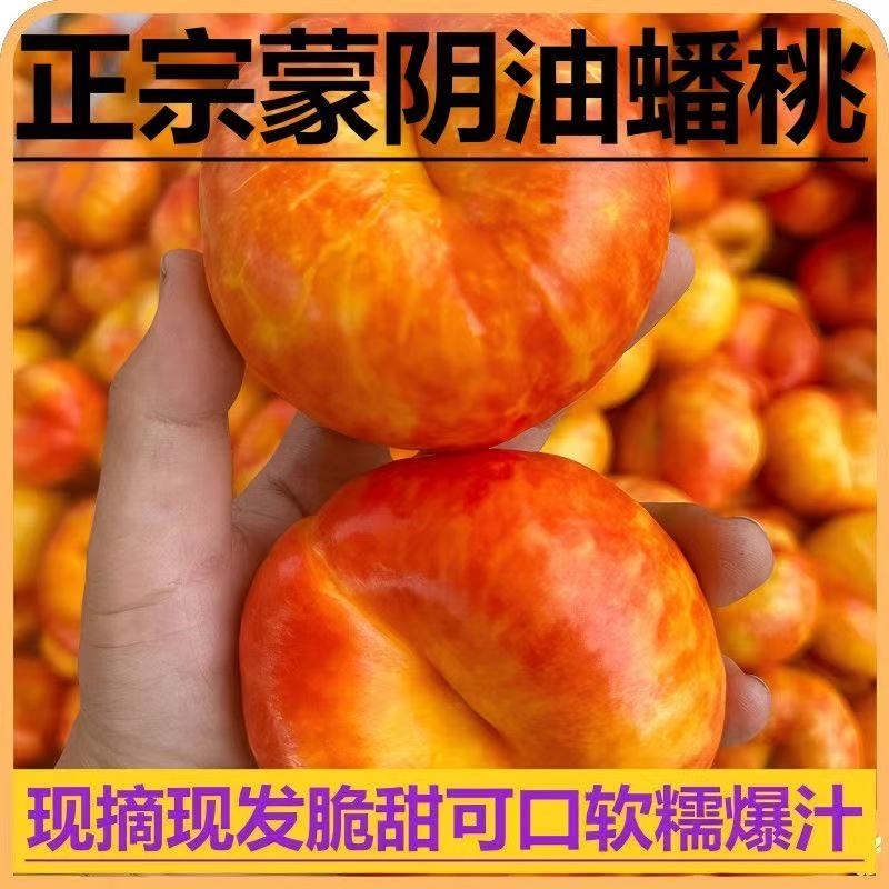 【顺丰包邮】山东蒙阴彩虹油蟠桃新鲜应季水果甜嫩多汁皮薄现摘