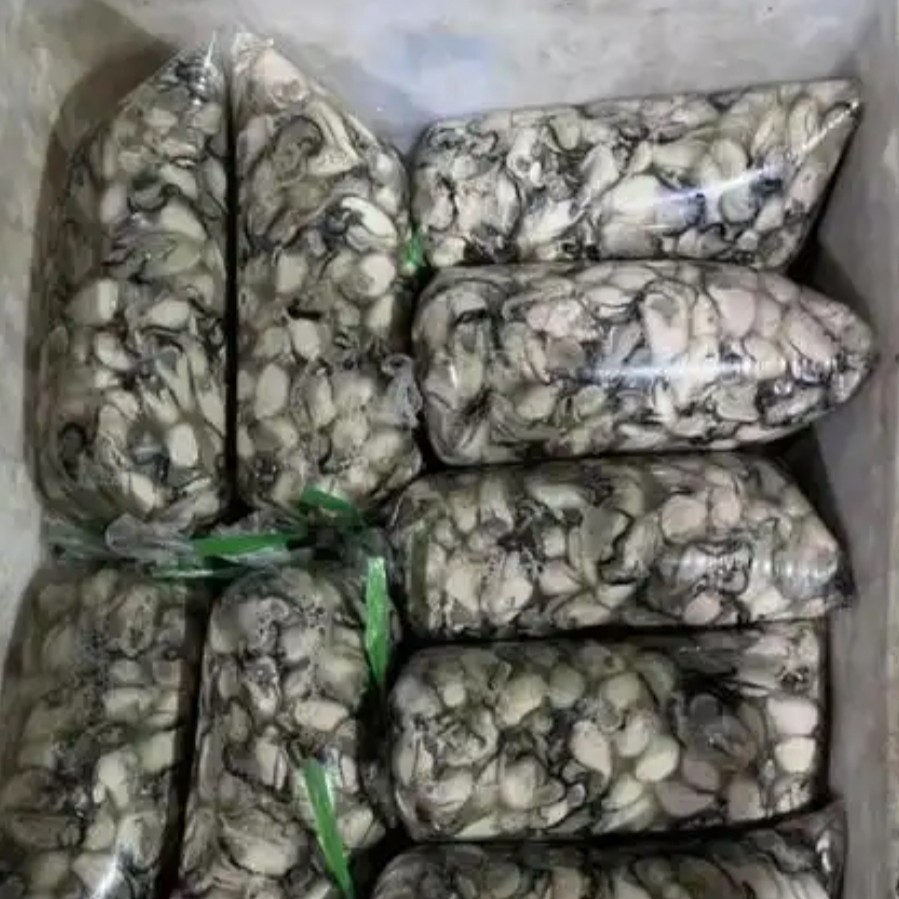 新鲜生蚝牡蛎海蛎子肉
